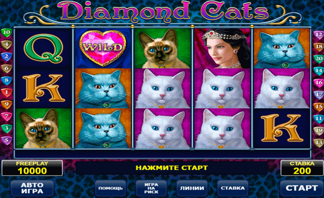 Gameplay of Diamond Cats slot