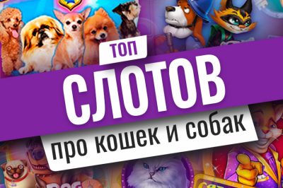 Top 10 slot machines about dogs and cats