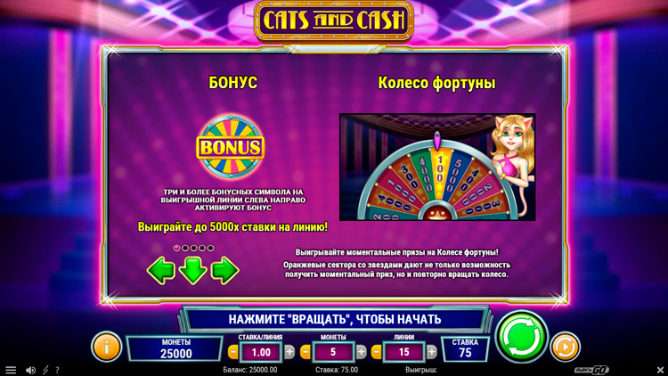 Bonus round in Cats and the Cash slot machine