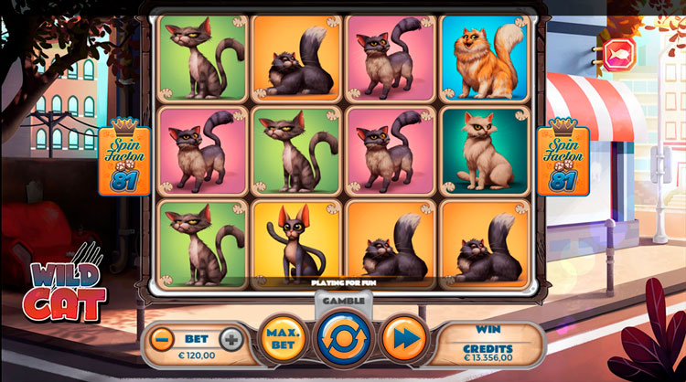 Wild Cat video slot splash screen