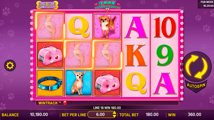 Winning at Doggone Lucky!